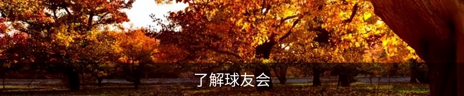 了解球友会